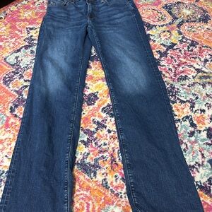 American Eagle Outfitters Men's Straight Leg Blue Jeans